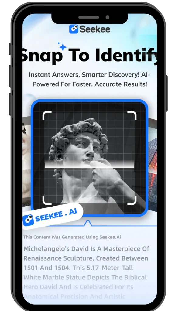 Key Features of Seekee AI Search & Assistant App